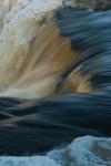 _IMG1431 copy.jpg